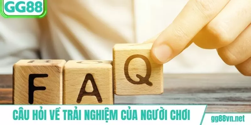 Câu hỏi về quy trình trải nghiệm của người chơi